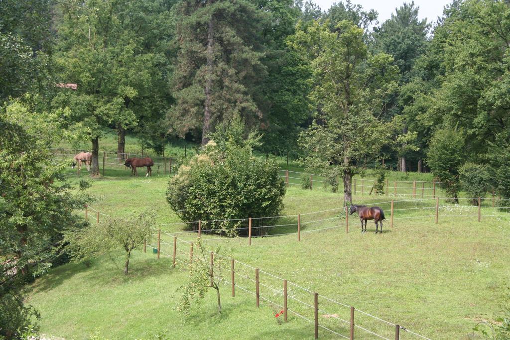 B&B La Casa Di Campagna Bergamo Exterior foto